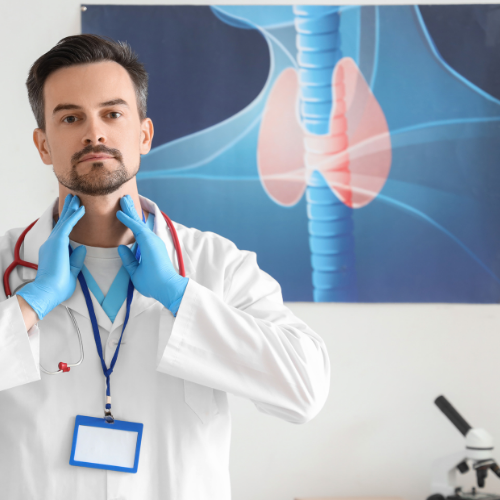 glandula tiroides anatomia hipotiroidismo